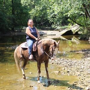 Meet your Posher, Hannah